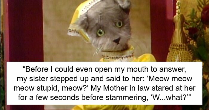 MIL Tries To Humiliate DIL In Public, Sister’s Absurd “Meow” Comeback Ends The Confrontation