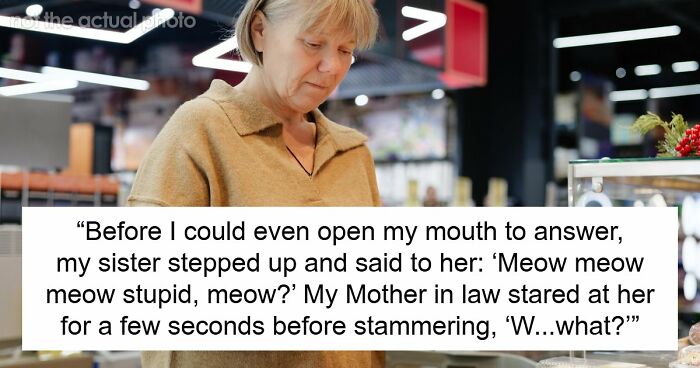 MIL Tries To Humiliate DIL In Public, Sister’s Absurd “Meow” Comeback Ends The Confrontation