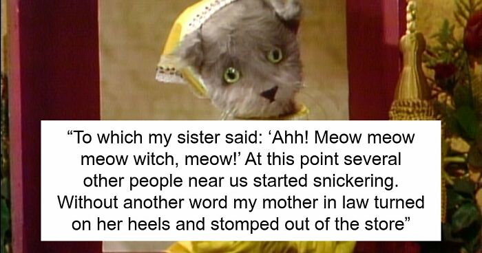 MIL Tries To Humiliate DIL In Public, Sister’s Absurd “Meow” Comeback Ends The Confrontation