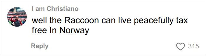 A social media comment about Erling Haaland's raccoon living tax-free in Norway. A social media comment about Erling Haaland's raccoon living tax-free in Norway.