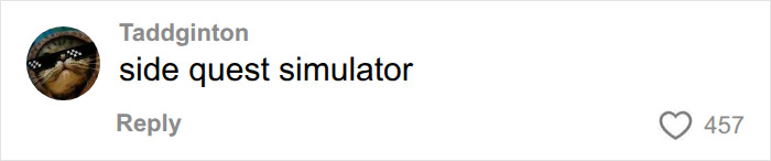 A social media comment about Erling Haaland and the raccoon being a side quest simulator. A social media comment about Erling Haaland and the raccoon being a side quest simulator.