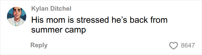 A social media comment: His mom is stressed he's back from summer camp, about Erling Haaland and raccoon memes. A social media comment: His mom is stressed he's back from summer camp, about Erling Haaland and raccoon memes.