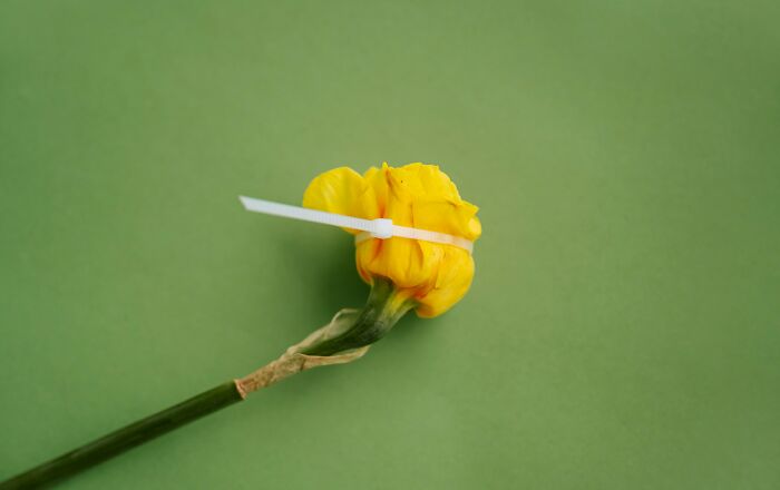 42 Everyday Items People Secretly Use For Completely Different Things