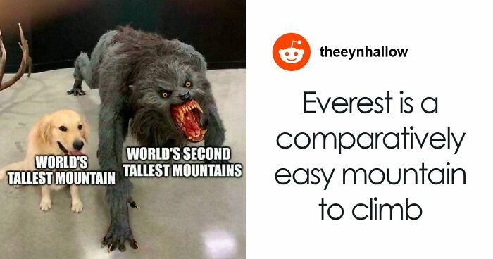 58 Times People Required Someone To Explain The Joke And The Internet Delivered (New Pics)