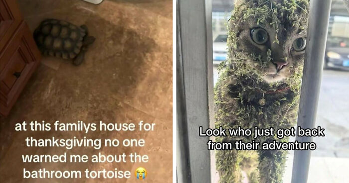 59 Screenshots That Are So Absurd, They’re Impossible Not To Laugh At