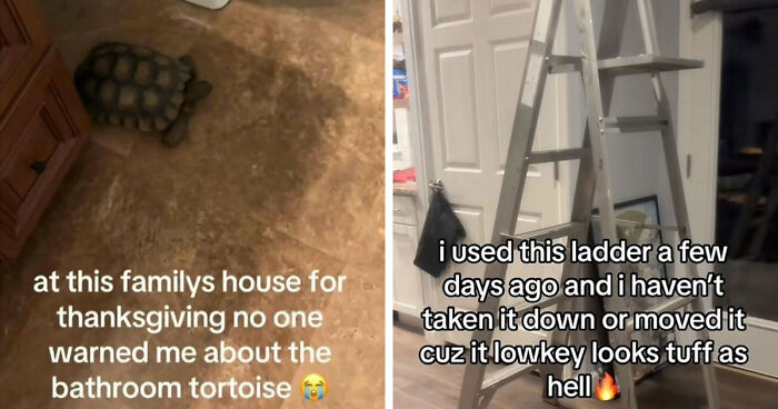 59 Screenshots That Are So Absurd, They’re Impossible Not To Laugh At