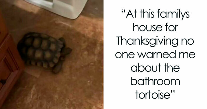 59 Screenshots That Are So Absurd, They’re Impossible Not To Laugh At