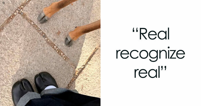 59 Screenshots That Are So Absurd, They’re Impossible Not To Laugh At