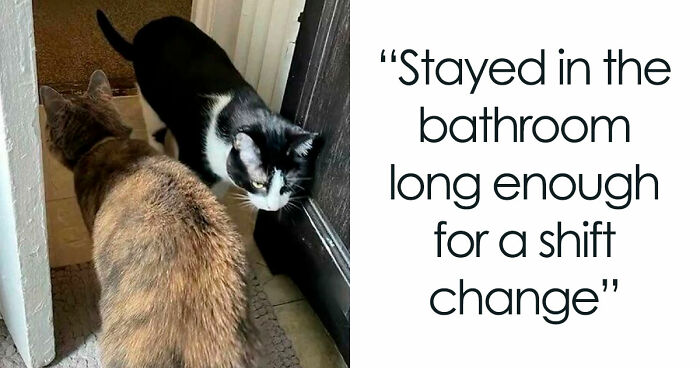 59 Screenshots That Are So Absurd, They’re Impossible Not To Laugh At