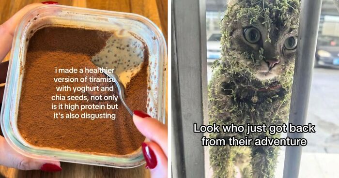 59 Screenshots That Are So Absurd, They’re Impossible Not To Laugh At