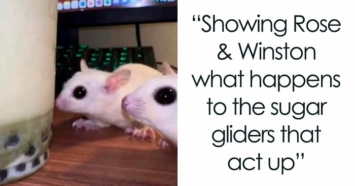 59 Screenshots That Are So Absurd, They’re Impossible Not To Laugh At