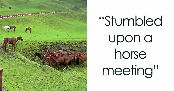 59 Screenshots That Are So Absurd, They’re Impossible Not To Laugh At