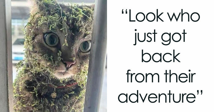 59 Screenshots That Are So Absurd, They’re Impossible Not To Laugh At