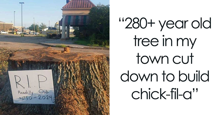 44 Moments When People Couldn’t Hold Back Their Anger And Shared These Extremely Infuriating Photos (New Pics)
