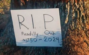 44 Photos Showing Extremely Infuriating Things That May Ruin Your Day (New Pics)