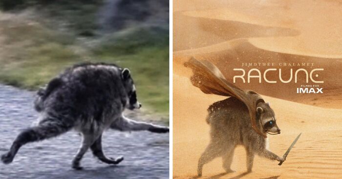 23 Memes That Capture The World’s Unhinged Obsession With An Unusually Shaped Raccoon Named “Jimothy”