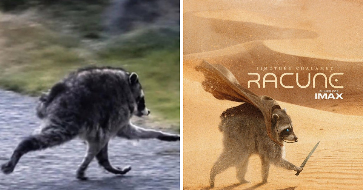 23 Memes That Capture The World’s Unhinged Obsession With An Unusually Shaped Raccoon Named “Jimothy” 23 Memes That Capture The World’s Unhinged Obsession With An Unusually Shaped Raccoon Named “Jimothy”
