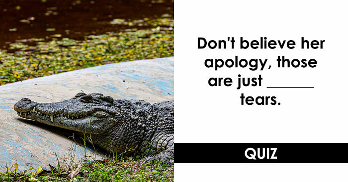 “Are You As Well Spoken As You Think?”: Finish These 24 English Idioms And Sayings To Prove It