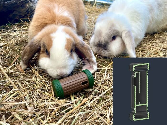 Two cute bunnies with a 3D printer created brown and green treat dispenser toy on hay with a diagram overlay.