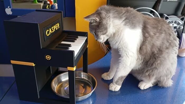 A cat looking at a 3D printed piano-shaped feeder, an example of functional 3D printing.