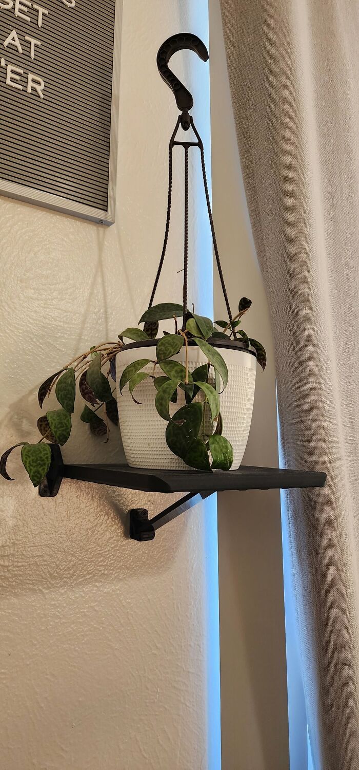 A plant in a white pot on a 3D printed shelf, showcasing cool 3D printer creations.