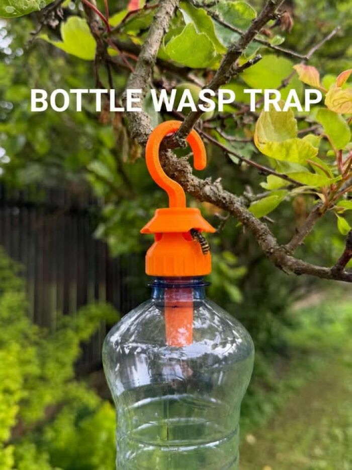 A 3D printer created bottle wasp trap with a wasp inside, hanging from a tree branch. It is functional and cool.