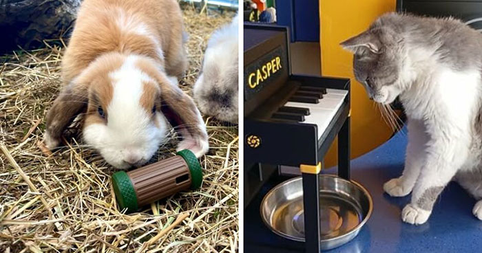73 Functional And Cool Things People Created Using Only A 3D Printer