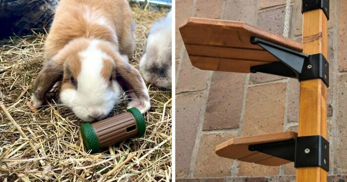 73 Functional And Cool Things People Created Using Only A 3D Printer