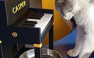 73 Functional And Cool Things People Created Using Only A 3D Printer