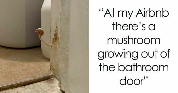 60 Airbnb Blunders That Might Have You Booking A Boring Hotel Room Instead