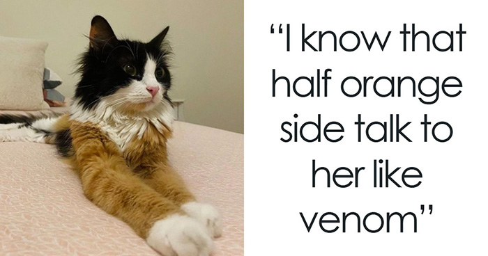 87 Internet Posts And Viral Moments That Made Scrolling Way More Enjoyable