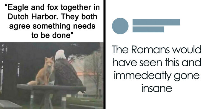 87 Internet Posts And Viral Moments That Made Scrolling Way More Enjoyable