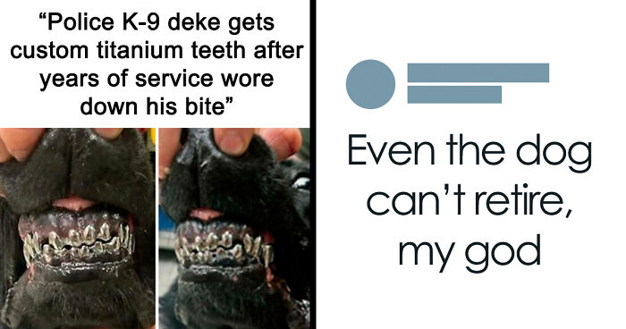 87 Internet Posts And Viral Moments That Made Scrolling Way More Enjoyable