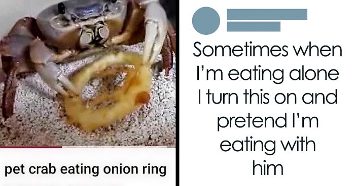 67 Nerdy And Relatable Memes To Scroll Through For Good Vibes