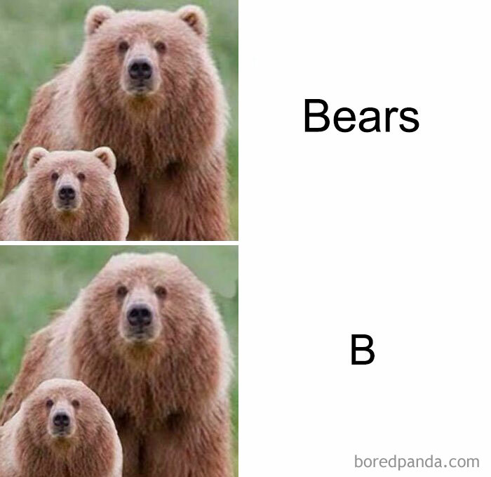 A meme comparing two bear images, one labeled 'Bears' and the other 'B', part of 100 ancient memes.