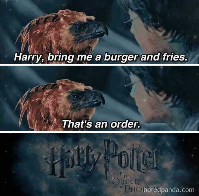 A funny Harry Potter meme about a Hippogriff ordering a burger and fries, one of many ancient memes that still crack people up.