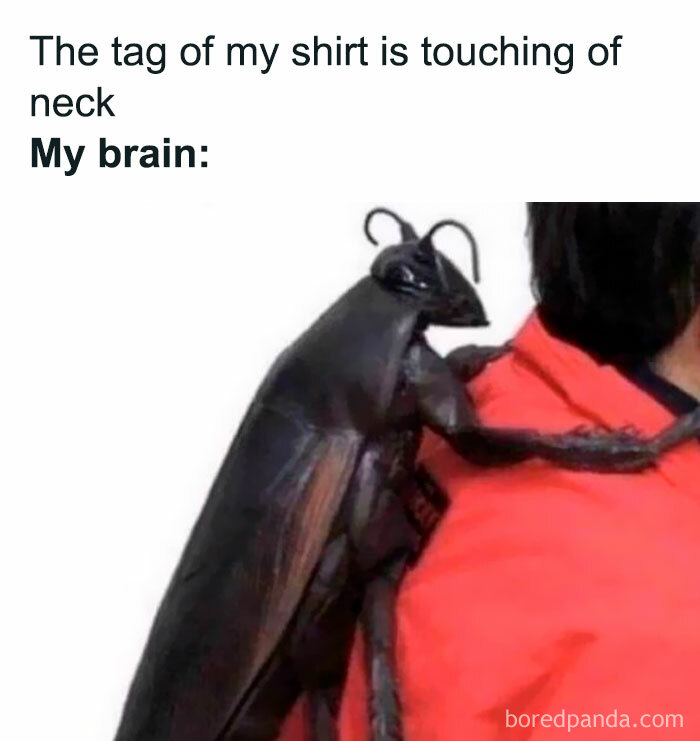 Humorous meme depicting a giant cockroach on a person's shoulder, illustrating the annoying feeling of a shirt tag, an ancient meme that still cracks people up.