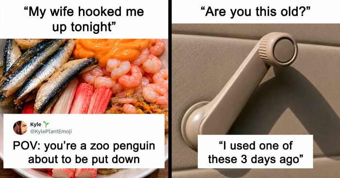 35 Hilarious Memes And Roasts That You Might Not Have Been Prepared For Today