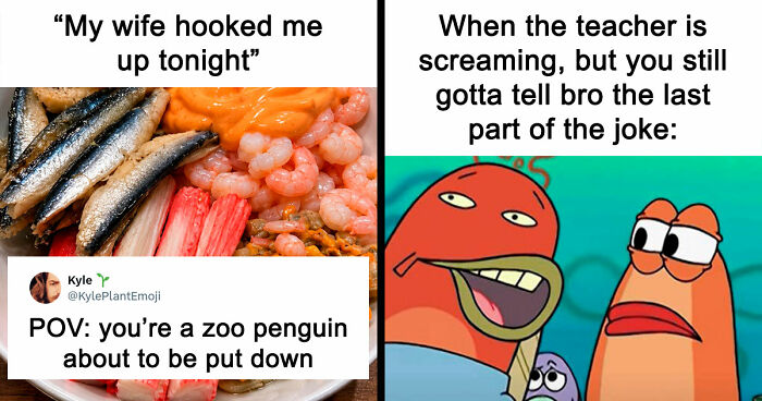 35 Hilarious Memes And Roasts That You Might Not Have Been Prepared For Today