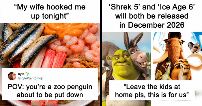 35 Hilarious Memes And Roasts That You Might Not Have Been Prepared For Today
