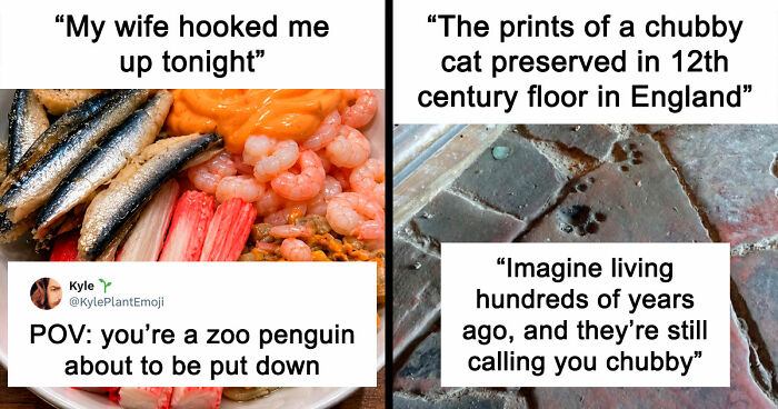 35 Hilarious Memes And Roasts That You Might Not Have Been Prepared For Today