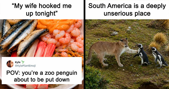35 Hilarious Memes And Roasts That You Might Not Have Been Prepared For Today