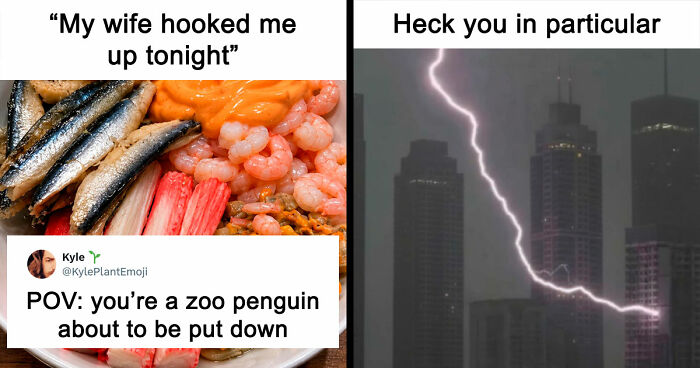 35 Hilarious Memes And Roasts That You Might Not Have Been Prepared For Today
