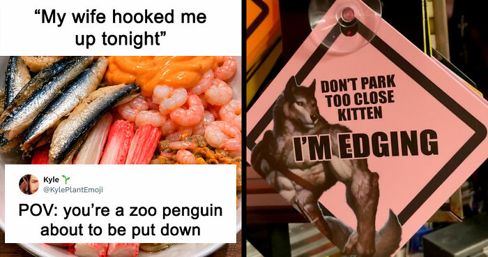 35 Hilarious Memes And Roasts That You Might Not Have Been Prepared For Today
