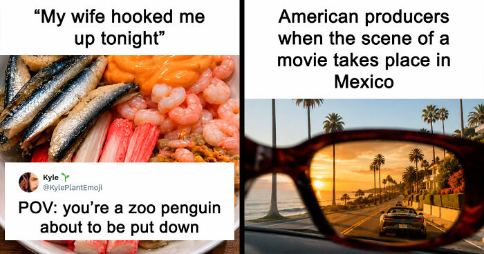 35 Hilarious Memes And Roasts That You Might Not Have Been Prepared For Today