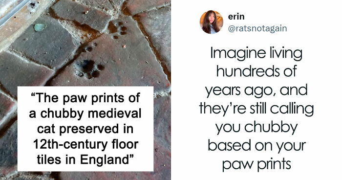 35 Hilarious Memes And Roasts That You Might Not Have Been Prepared For Today
