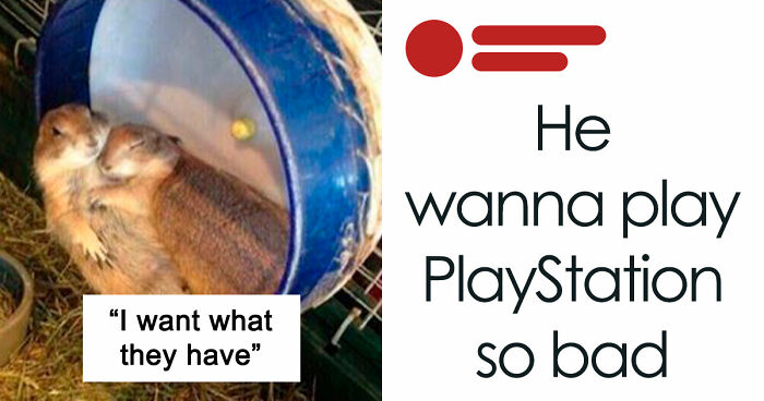 35 Hilarious Memes And Roasts That You Might Not Have Been Prepared For Today