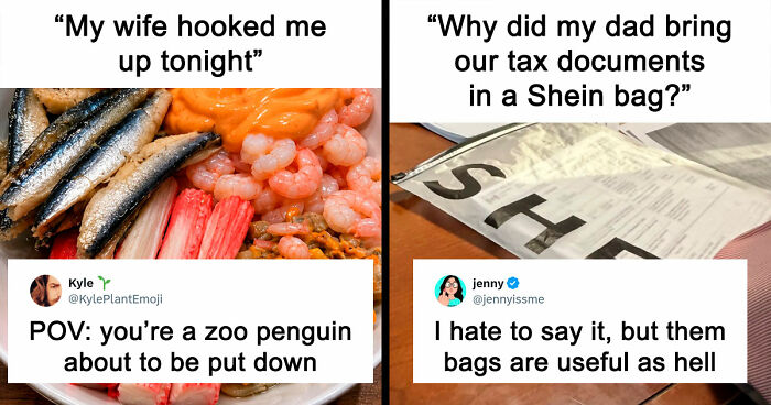 35 Hilarious Memes And Roasts That You Might Not Have Been Prepared For Today