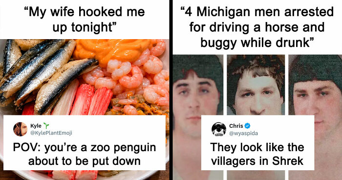 35 Hilarious Memes And Roasts That You Might Not Have Been Prepared For Today