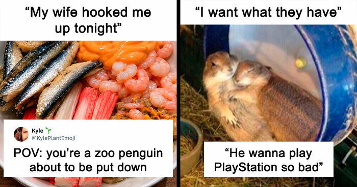 35 Hilarious Memes And Roasts That You Might Not Have Been Prepared For Today